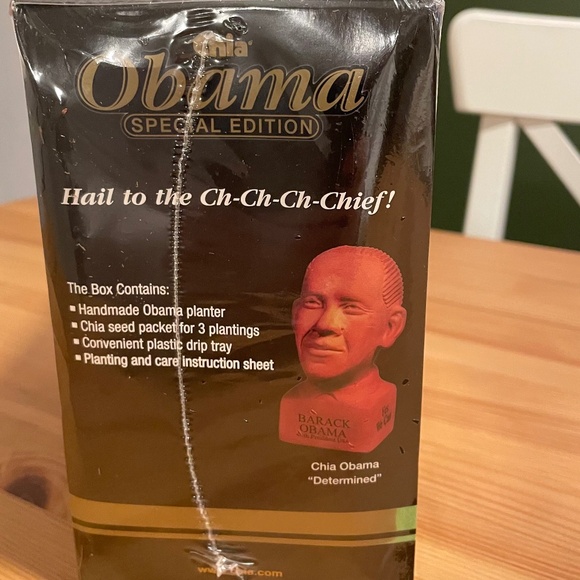 Obama Chia Pet - Picture 3 of 3